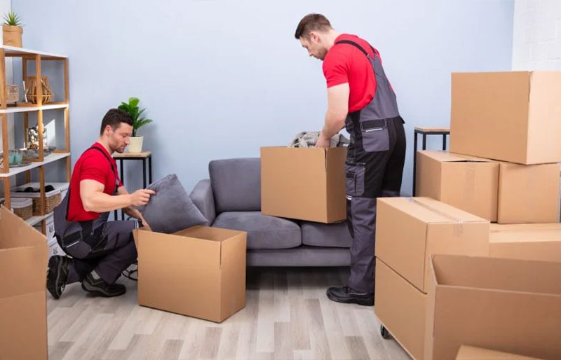 Organisation vs. Checklist: What Works Best in Moving?