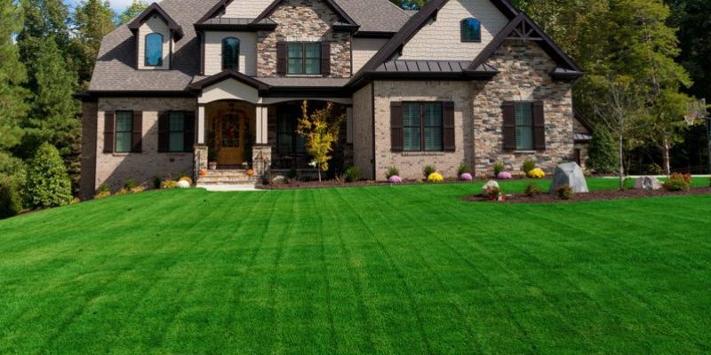 How to Improve Your Home with Organic Practices and Landscaping