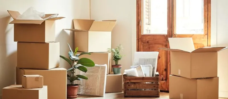 Is Your Moving Missing These Organisation Essentials?