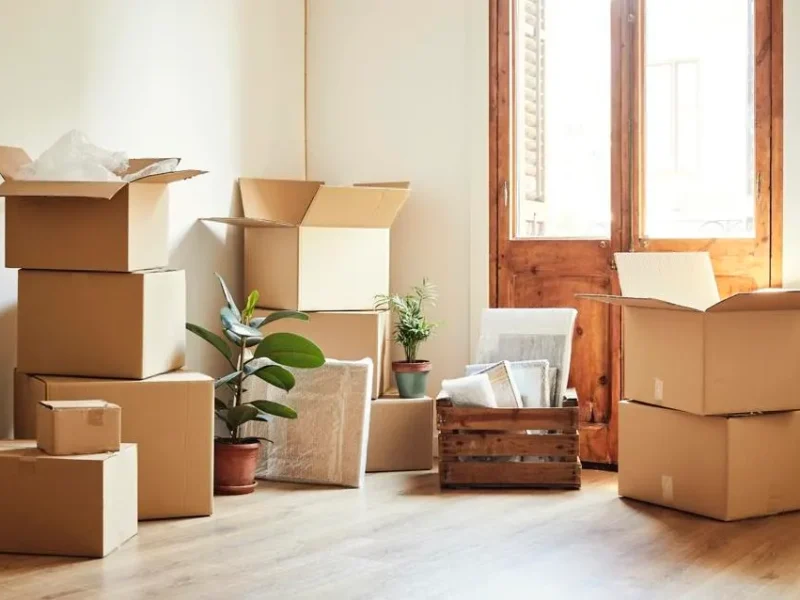 Is Your Moving Missing These Organisation Essentials?