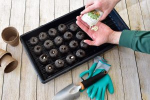 How to Improve Your Home with Seeds and Organic Practices