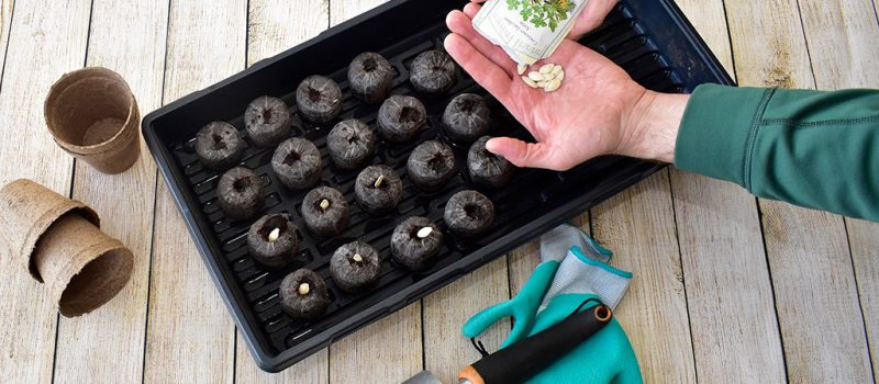 How to Improve Your Home with Seeds and Organic Practices
