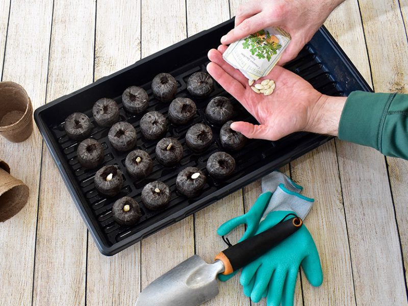 How to Improve Your Home with Seeds and Organic Practices