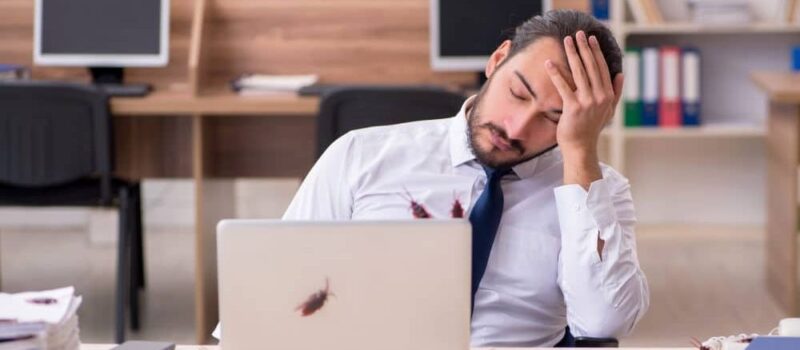 How Pest Infestations Impact Business Reputation