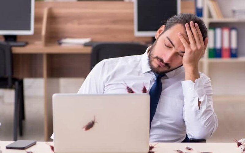 How Pest Infestations Impact Business Reputation
