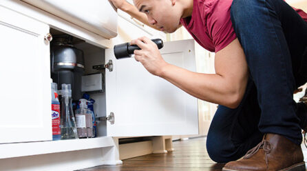 How to Protect Your Home from Seasonal Pest Infestations