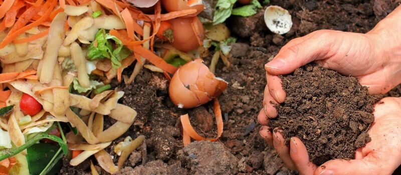 Composting for Home Gardens: Turn Waste into Nutrient-Rich Soil