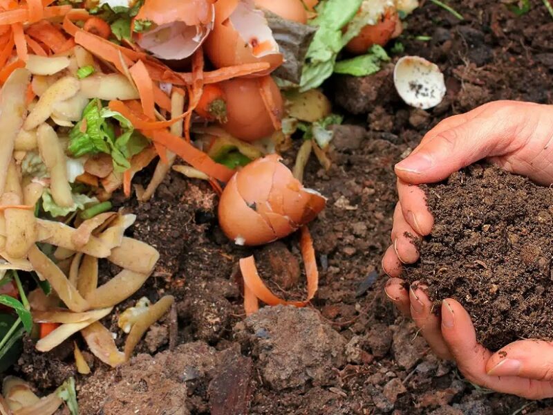 Composting for Home Gardens: Turn Waste into Nutrient-Rich Soil