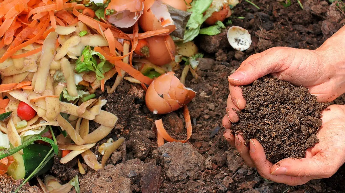 Composting for Home Gardens: Turn Waste into Nutrient-Rich Soil
