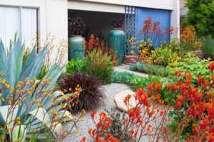 6 Reasons Daylily Plants for Sale Work Along Gravel Garden Paths