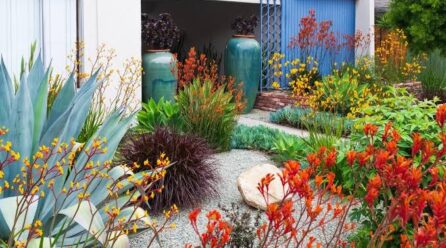 6 Reasons Daylily Plants for Sale Work Along Gravel Garden Paths