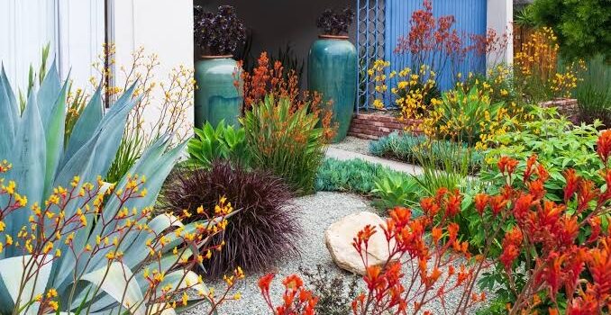 6 Reasons Daylily Plants for Sale Work Along Gravel Garden Paths